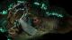 Torment: Tides of Numenera PC, wersja cyfrowa 1