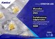 Kanlux Oprawa uliczna LED STRETON 40W 5600lm 4000K IK08 IP66 Ikl. ochr. ENEC 5 Lat Gwar. 36229 8