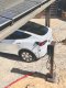MOREK Stacja ładowania EV 22kW, sieciowa, wyświetlacz LCD 3.8, LAN, WiFi, RFID, przewód ​6.5m, ​złącze Typu 2, MEV22DREWN6T2 4