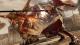 Lightning Returns: Final Fantasy XIII PC, wersja cyfrowa 1