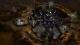 Grey Goo PC, wersja cyfrowa 10