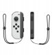 Pakiet akcesoriów rodzinnych 10 w 1 do gry Nintendo Switch Sports - zestaw czerwony i niebieski 11