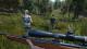 Hunting Simulator PC, wersja cyfrowa 5