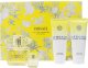 SET VERSACE Yellow Diamond Pour Femme EDT spray 90ml + SHOWER GEL 100ml + BODY LOTION 100ml + kosmetyczka 2
