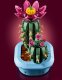 LEGO Botanicals Kwitnący kaktus (11509) 5