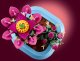 LEGO Botanicals Kwitnący kaktus (11509) 6