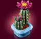 LEGO Botanicals Kwitnący kaktus (11509) 7
