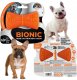 Bionic Kość gryzak dla psa S, 9,5cm 2