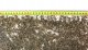 AQUA DELLA Gravel Dark Fine gravel, do akwarium, ciemny, drobny, 1-3 mm, 10 kg 4