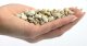 AQUA DELLA Gravel British Brown, żwirek, do akwarium, 4-8 mm, 2 kg 9