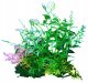 Terra Natura Aqua Natura, roślina do dekoracji akwarium, zielona, plastikowa, 12 cm, spiralne liście 1