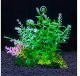 Terra Natura Aqua Natura, roślina do dekoracji akwarium, zielona, plastikowa, 12 cm, spiralne liście 2
