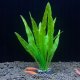 Terra Natura Aqua Natura, roślina do dekoracji akwarium, zielona, plastikowa, 18 cm, wodorost leśny 2