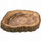 Terra Natura Dekoracja do terrarium imitująca drewno 20cm 1