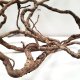 Terra Natura WIO Elder Root Mix, zestaw dekoracyjny, do terrarium, 0,25kg 1