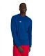 Arena KOSZULKA LONG SLEEVE męska MEN SHIRT TEAM TRIPLE DENIM 001784777 rozmiar 2XL 5