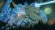 Naruto Shippuden: Ultimate Ninja Storm 4 PC, wersja cyfrowa 8