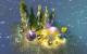 Might & Magic: Heroes VI (Gold Edition) PC, wersja cyfrowa 9