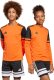 Adidas Koszulka bramkarska Squadra 25 Long Sleeve Jr (JJ1941) 6