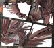 Piececool Metal Puzzle 3D Model - Firestorm Dragon 3