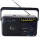 Radio FM TRACER GTX100 206