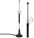 Qoltec Antena 4G LTE z podstawą magnetyczną| 5dBi | dookólna | wewnętrzna | 600-2700 MHz | SMA | 3m 5