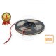 Taśma LED Prestige 2835 IP65 6W/m 2