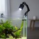 Nvox Aqua Natura* lampka led do akwarium/ terrarium, światło białe zimne 6500K 2