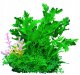 AquaNatura Aqua Natura, roślina, do dekoracji akwarium, zielona, plastikowa, 12 cm , gęsta rośinność dodatkiem różu 1