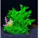 AquaNatura Aqua Natura, roślina, do dekoracji akwarium, zielona, plastikowa, 12 cm , gęsta rośinność dodatkiem różu 2