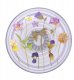 Popsockets PlantCore Grip Purple Fields806198 uchwyt i podstawka do telefonu 2