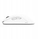 BENQ Zowie Mouse Gaming Gear FK2-DW Glossy 4