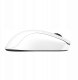 BENQ Zowie Mouse Gaming Gear U2-DW Glossy 5