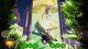 Bee Simulator The Hive PL (PS5) 4