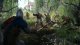 Warhorse Studios Kingdom Come Deliverance Royal Edition (PS4) 2