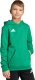 Adidas Bluza dla dzieci adidas Entrada 26 Hoody zielona JZ6563 164cm 4