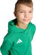 Adidas Bluza dla dzieci adidas Entrada 26 Hoody zielona JZ6563 164cm 6