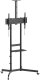Equip Stojak podłogowy 37"-70"/1TFT 70kg Economy sw 1