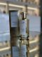 FRAGRANCE WORLD Montera Instant Love EDP spray 100ml 5