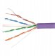 Dahua Technology SKRĘTKA PFM923I-6UN-CD-PURPLE 305&nbsp;m UTP KAT. 6 DAHUA 1