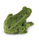 Rappa Pluszowa realistyczna maskotka Żaba zielona 19 cm 2