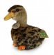 Rappa Pluszowa realistyczna maskotka Kaczka Krzyżówka 19 cm 2