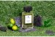 Bergamot and Patchouli Eau de Parfum 100ml 2