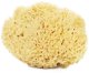 LullaLove Lullalove Honeycomb gąbka morska do twarzy i ciała - super size XXL 13,5-16,5cm 6