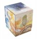 Gamegenic: Magic the Gathering - Lorwyn Eclipsed - Squire PLUS 100+ XL - Celestial Reunion 1
