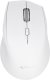 Mysz Triadyn Bezprzewodowa Mysz Biurowa NESO 2.4GHz 1600DPI Biała 2