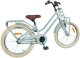 vidaXL Rower Dziecięcy 20 Cali dla dzieci w wieku 6-11 lat 3