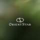 Zegarek męski Orient Star RE-AV0127L00B srebrny 8