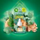 AIR WICK Essential Oils Wkład do elektrycznego odświeżacza powietrza Niebieski Eukaliptus i Drzewo Cedrowe 19 ml 7
