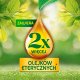 AIR WICK Essential Oils Wkład do elektrycznego odświeżacza powietrza Niebieski Eukaliptus i Drzewo Cedrowe 19 ml 9
